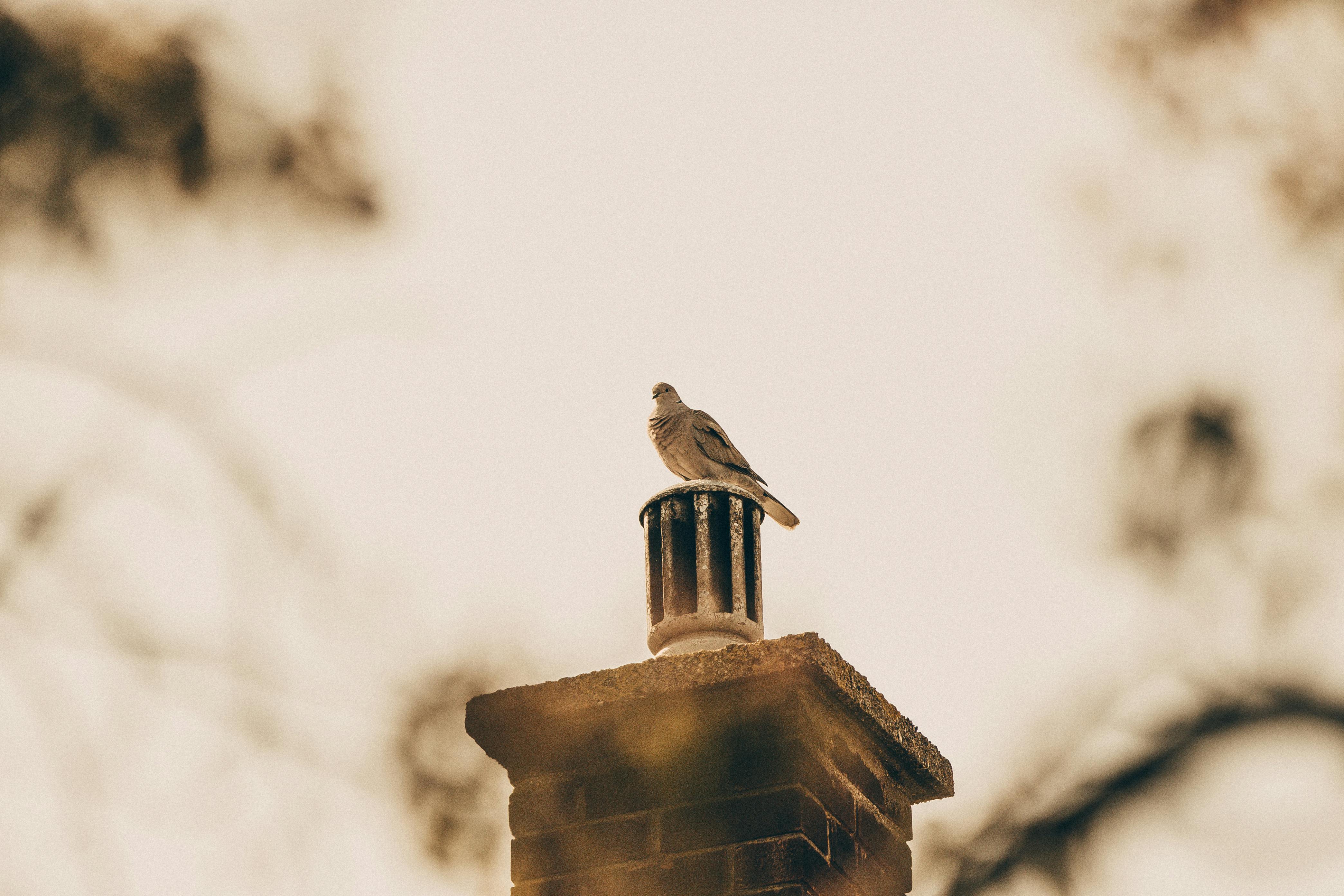 Expert Chimney Cap Installation in Orland Park, Illinois